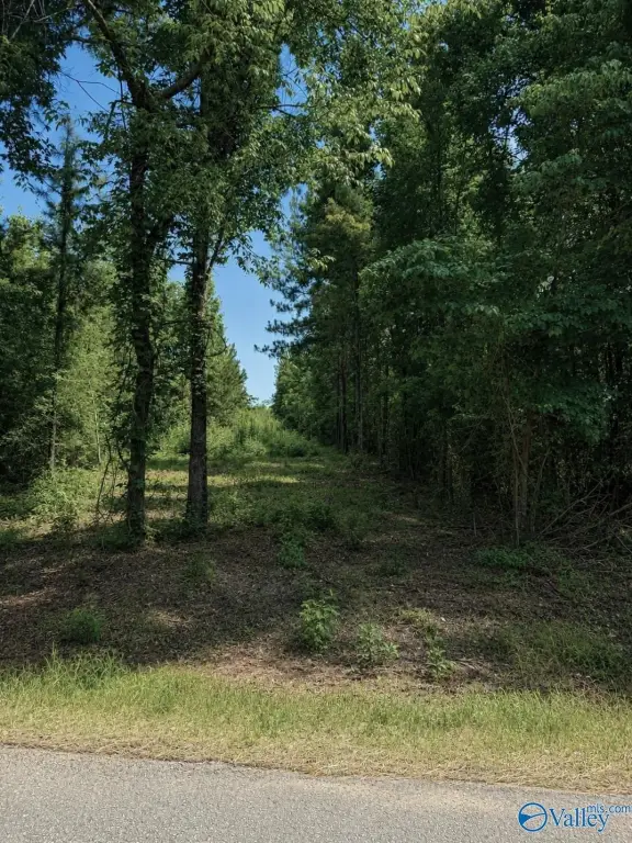 Picture 9