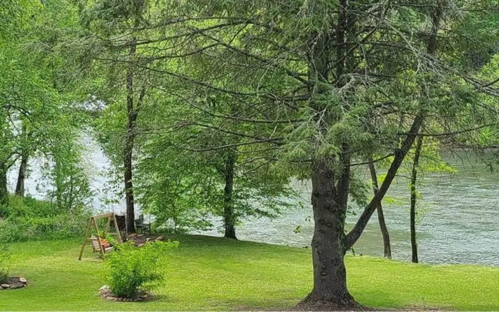 Picture 4