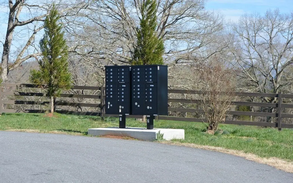 Picture 2