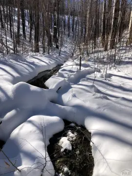 Land in Paradise Acres