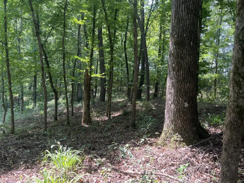 Picture 14