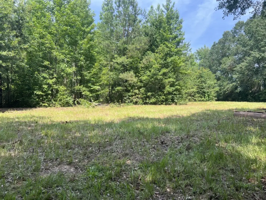 Picture 11