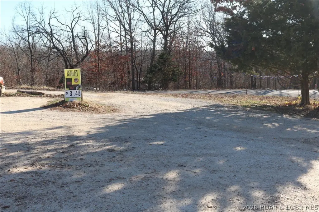 Picture 41