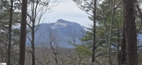 Scenic Mountain Retreat Opportunity