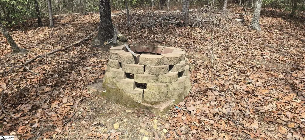 Picture 14