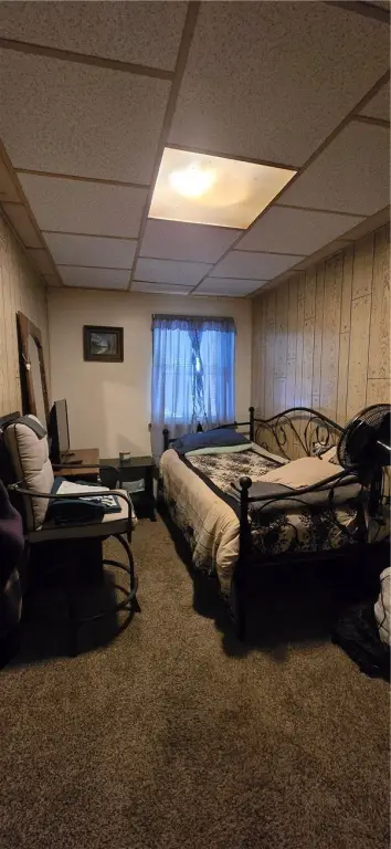 Picture 8
