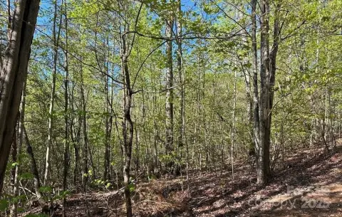 Residential Land in Deer Crossing