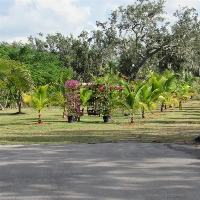 Picture 32