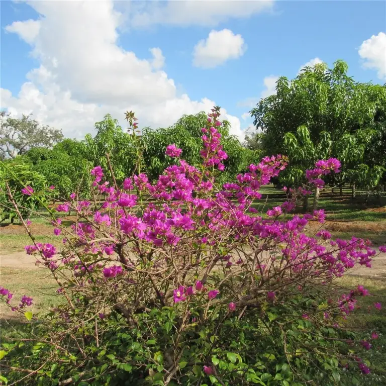 Picture 38