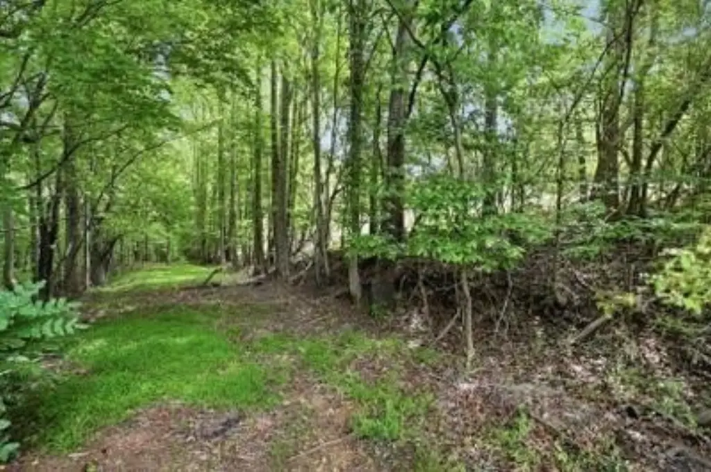 Picture 11