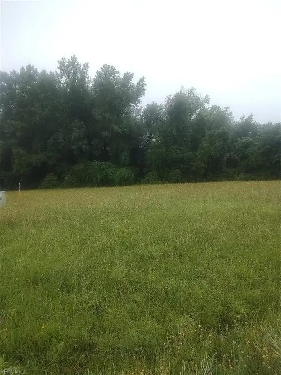 Picture 3