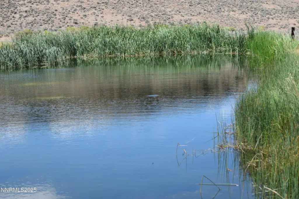 Picture 31