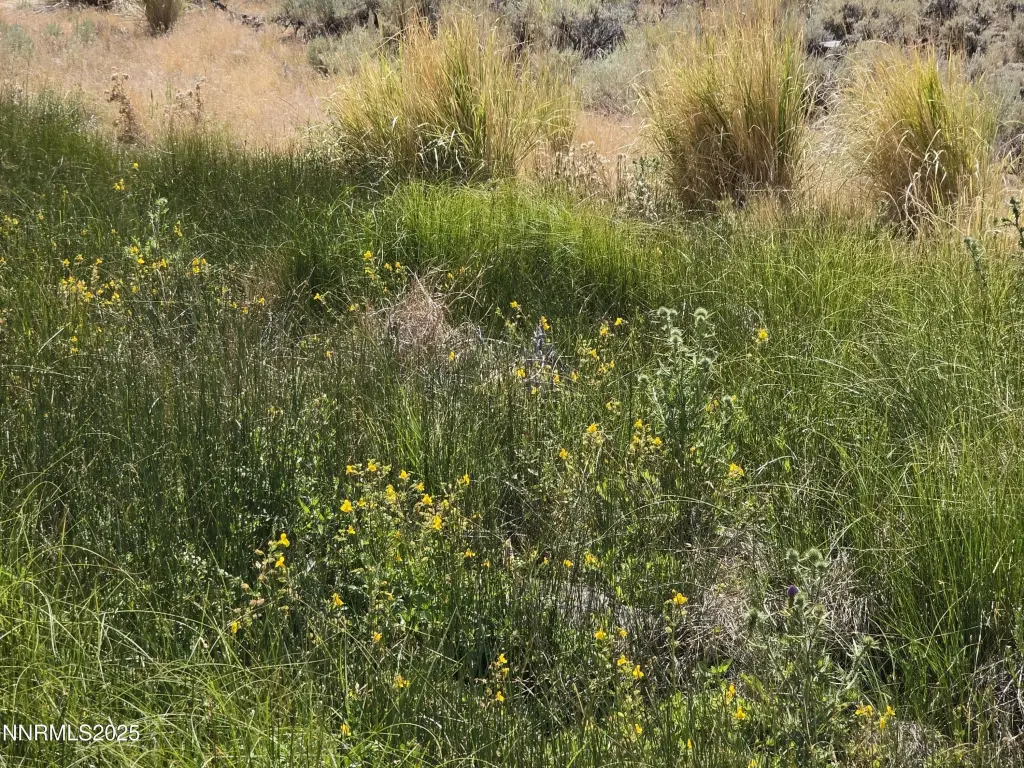 Picture 23