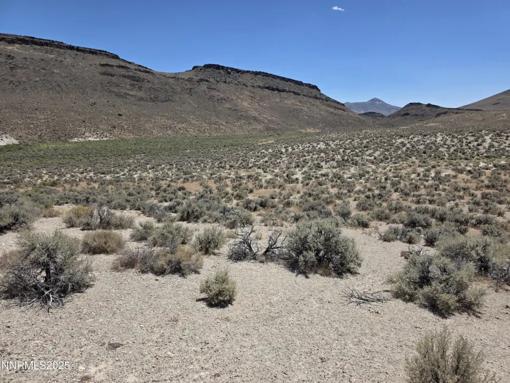 Picture 23