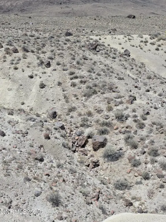 Picture 20