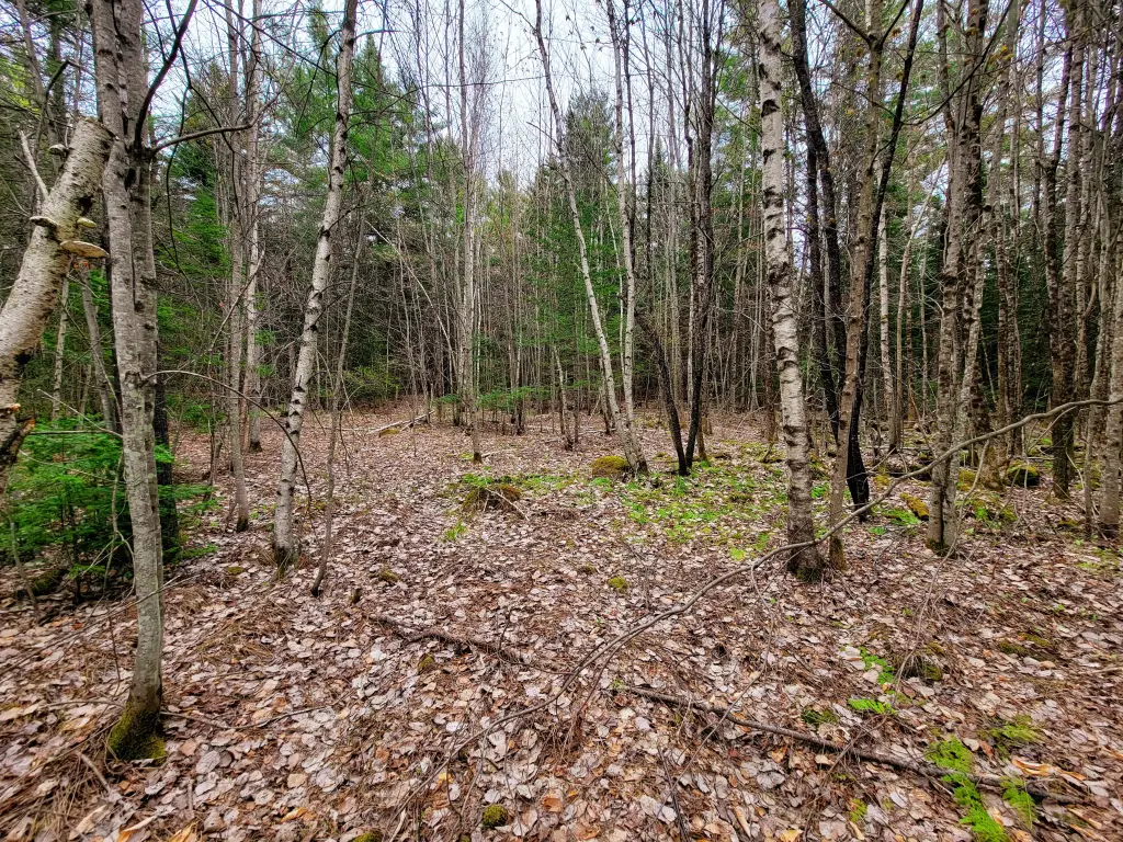 Picture 23