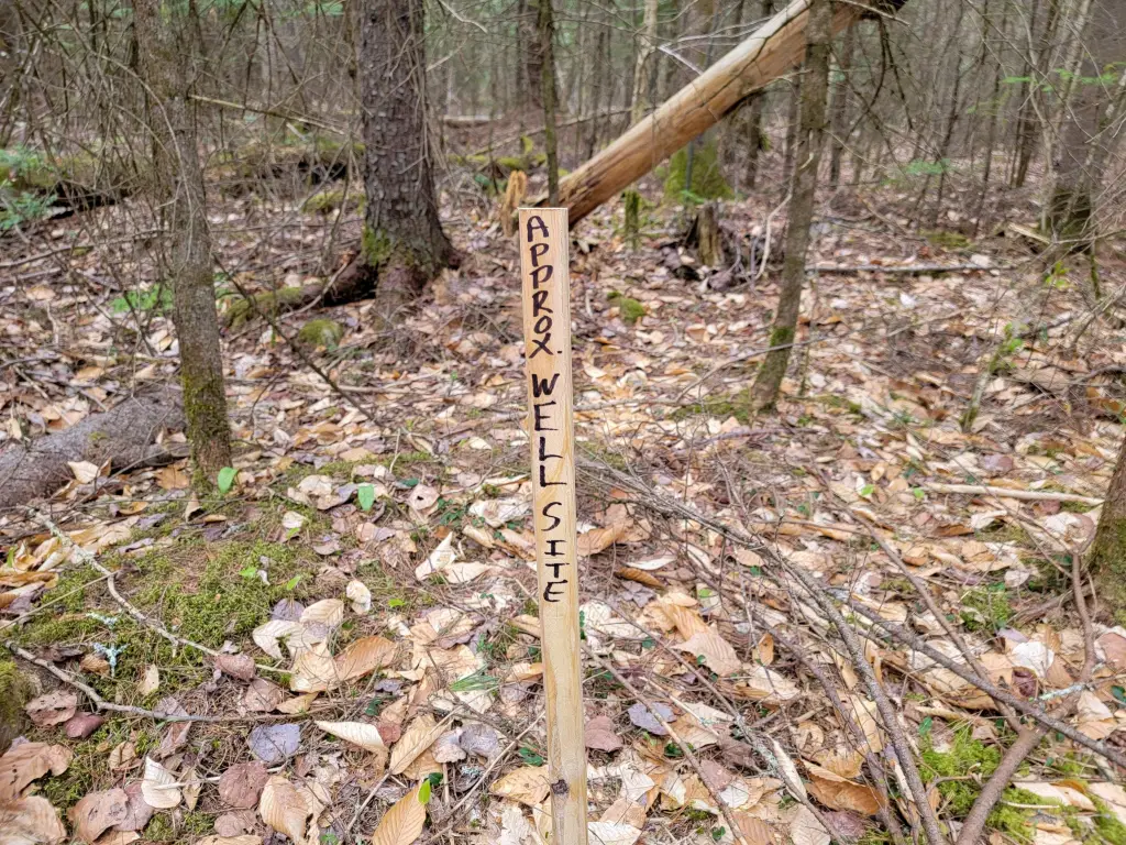 Picture 32