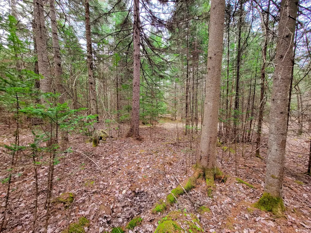 Picture 29