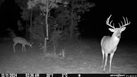 211 AC Land with Camp