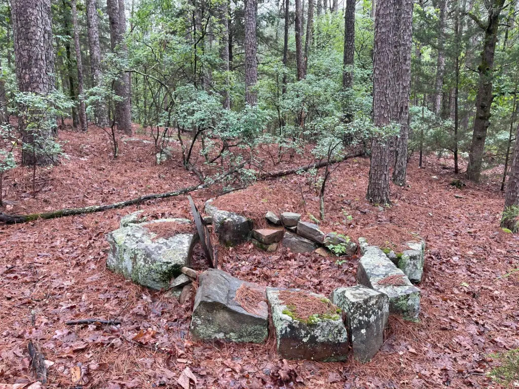 Picture 28