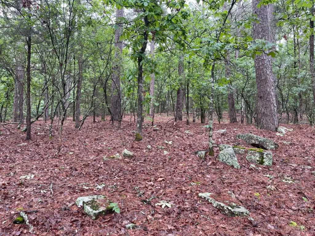 Picture 56