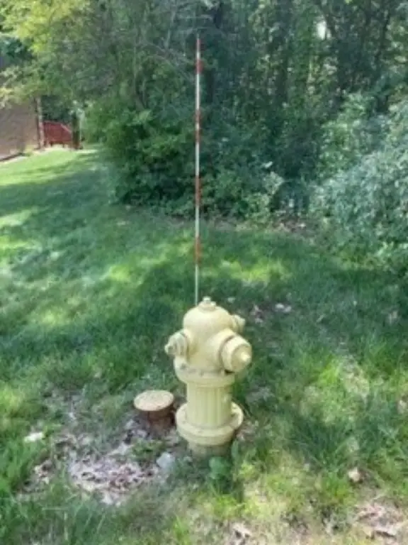 Picture 24