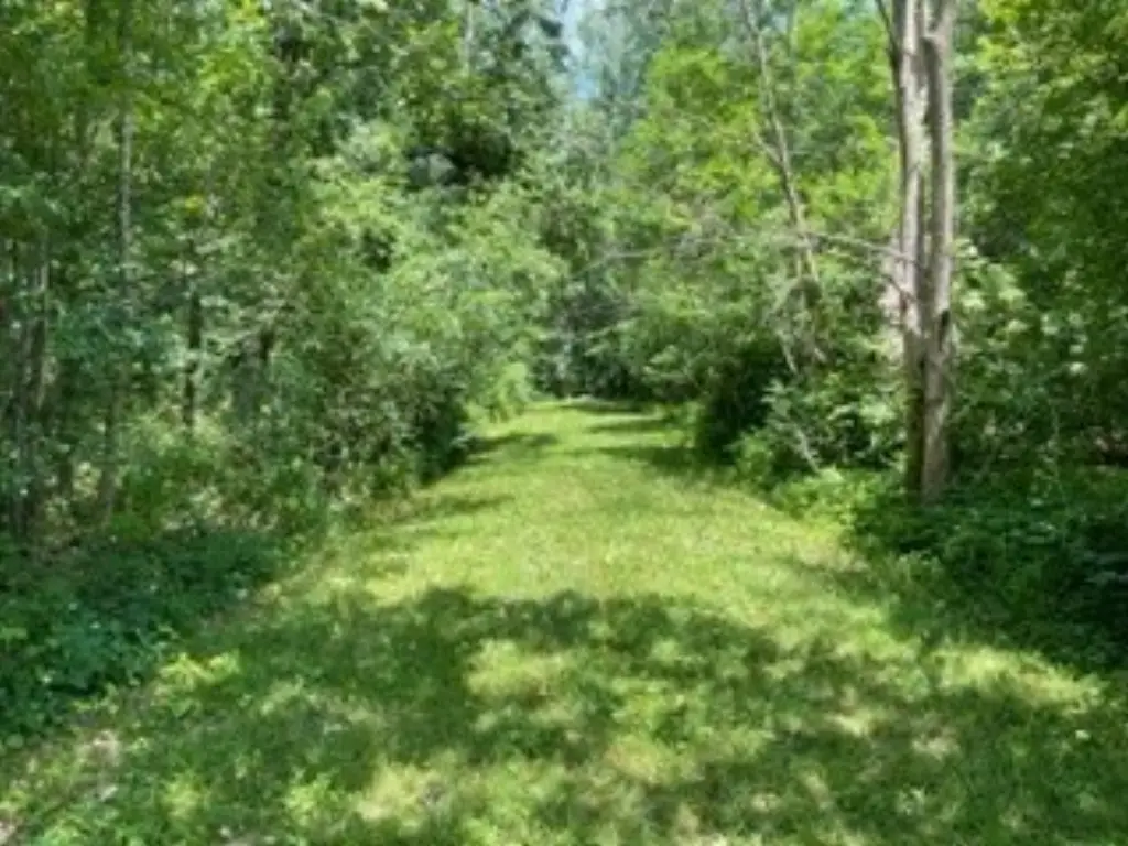 Picture 20