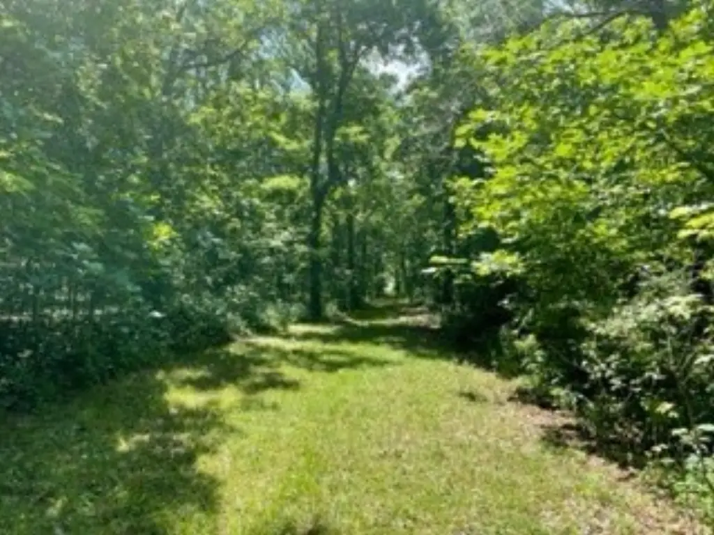 Picture 4