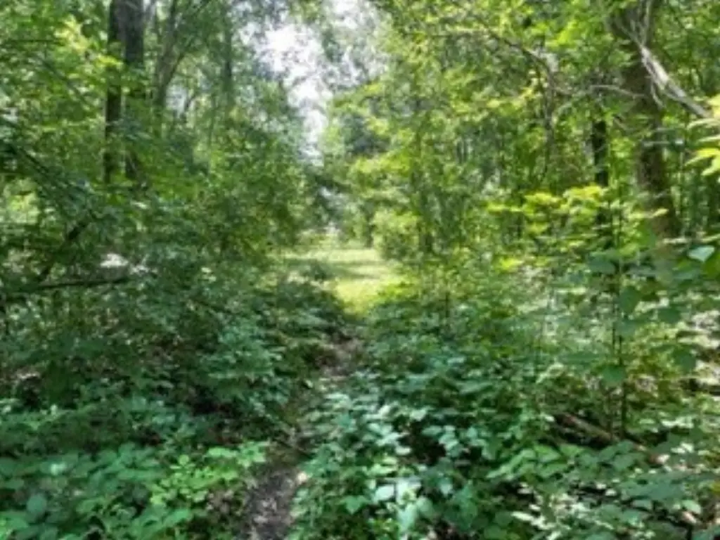 Picture 14