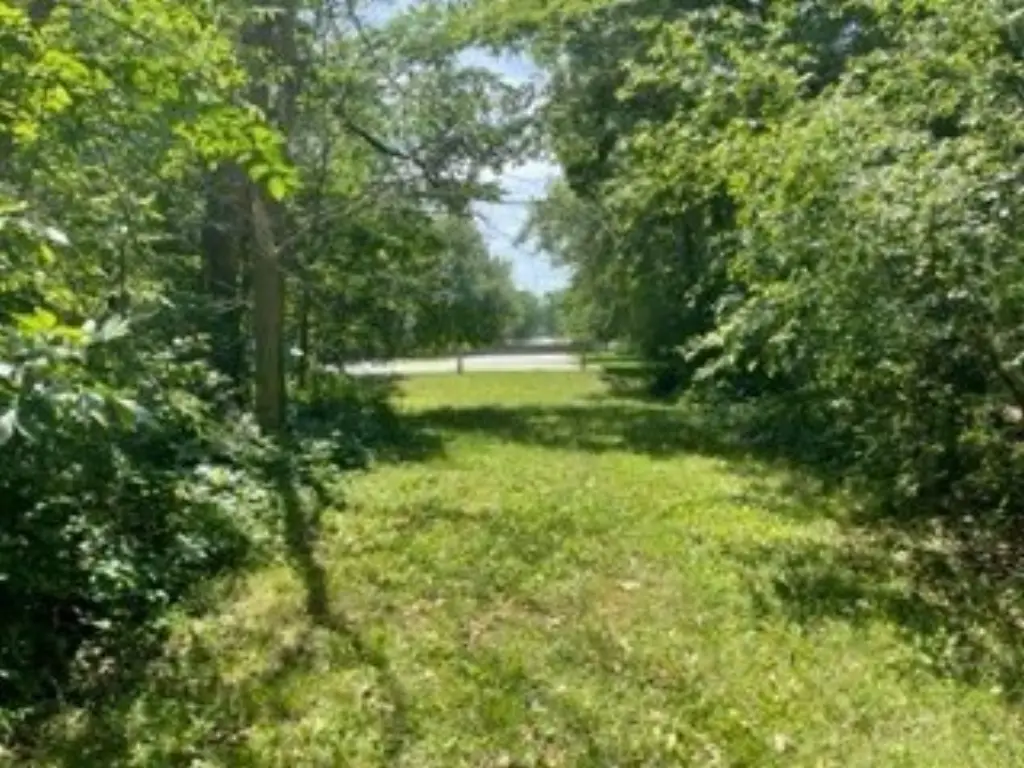 Picture 16