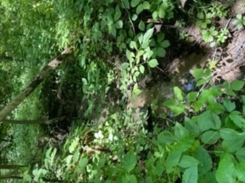 Picture 21