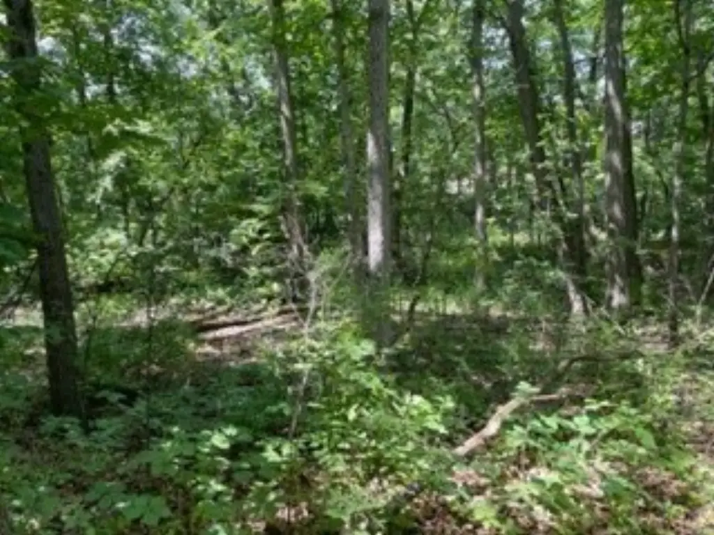 Picture 10
