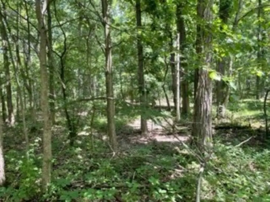Picture 23