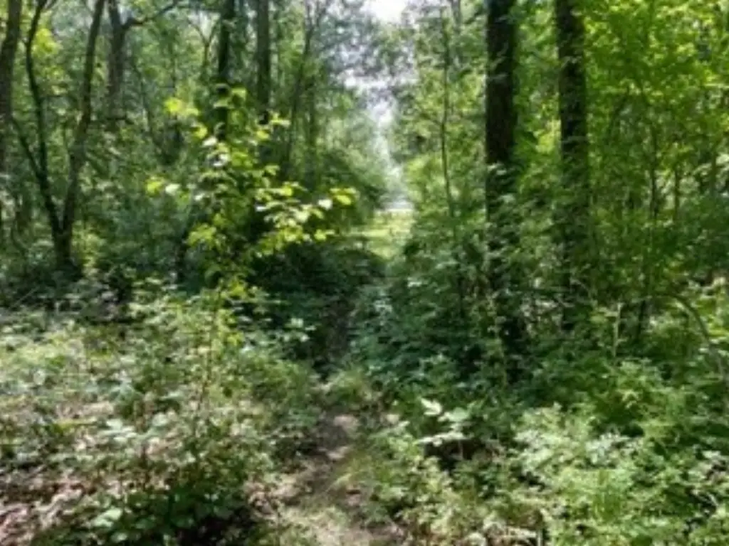 Picture 13