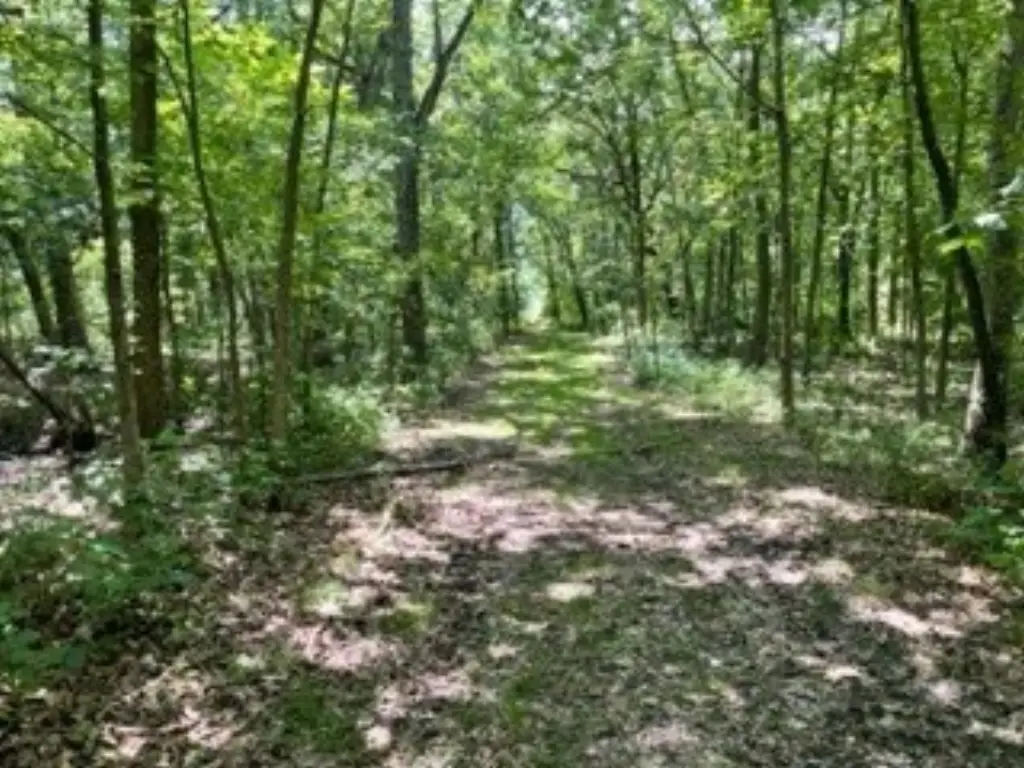 Picture 8