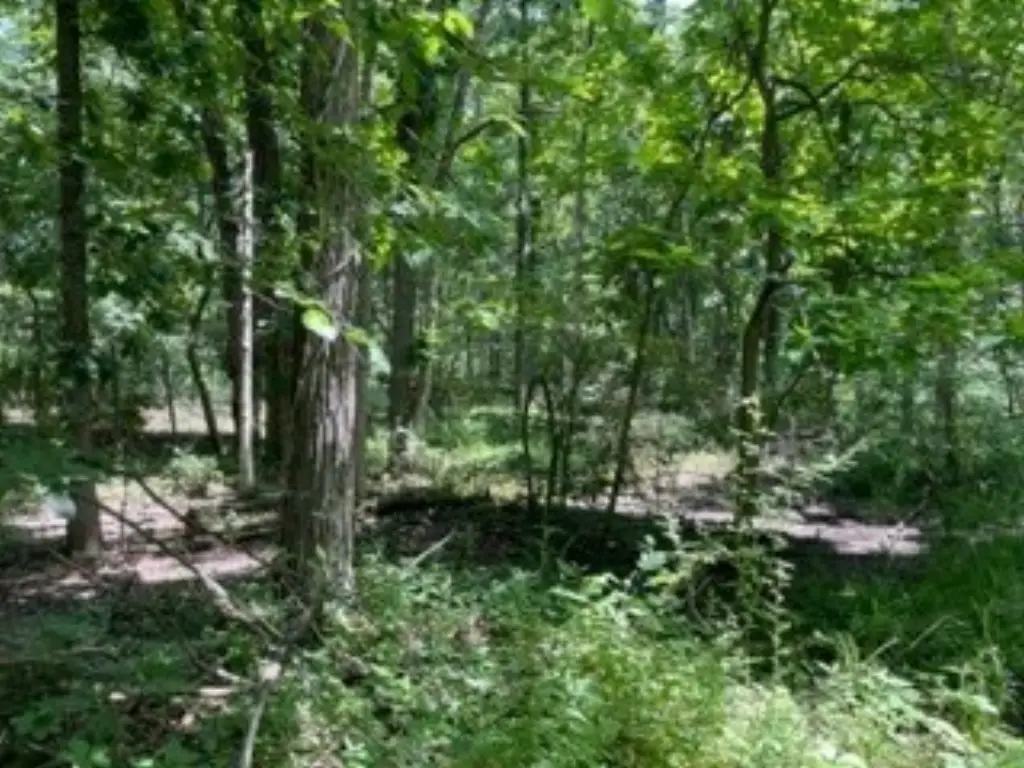 Picture 22