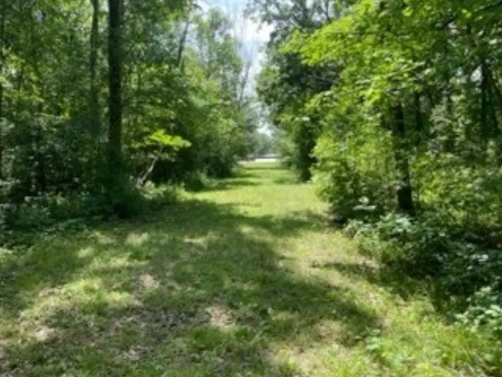 Picture 15