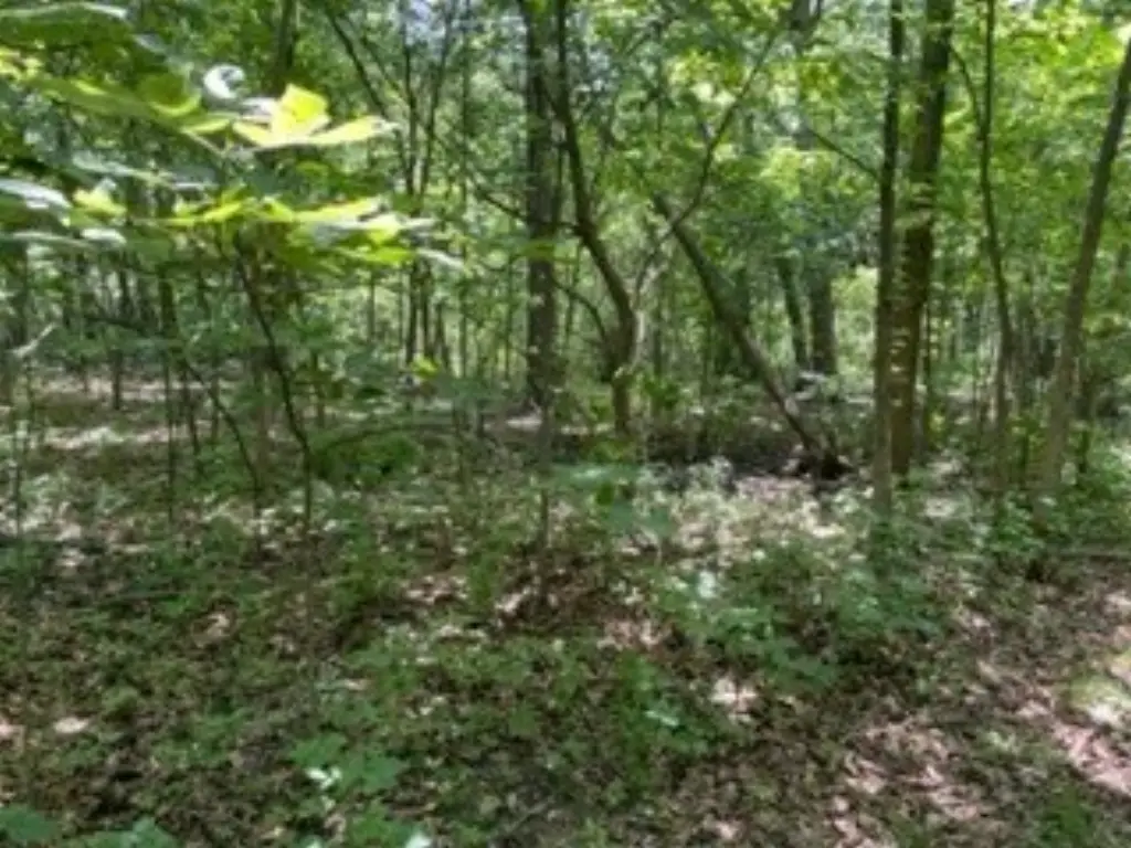 Picture 7