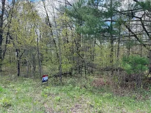Land Near Lake Harold, Elmira