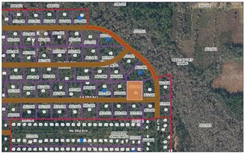 Land For Sale in Palatka