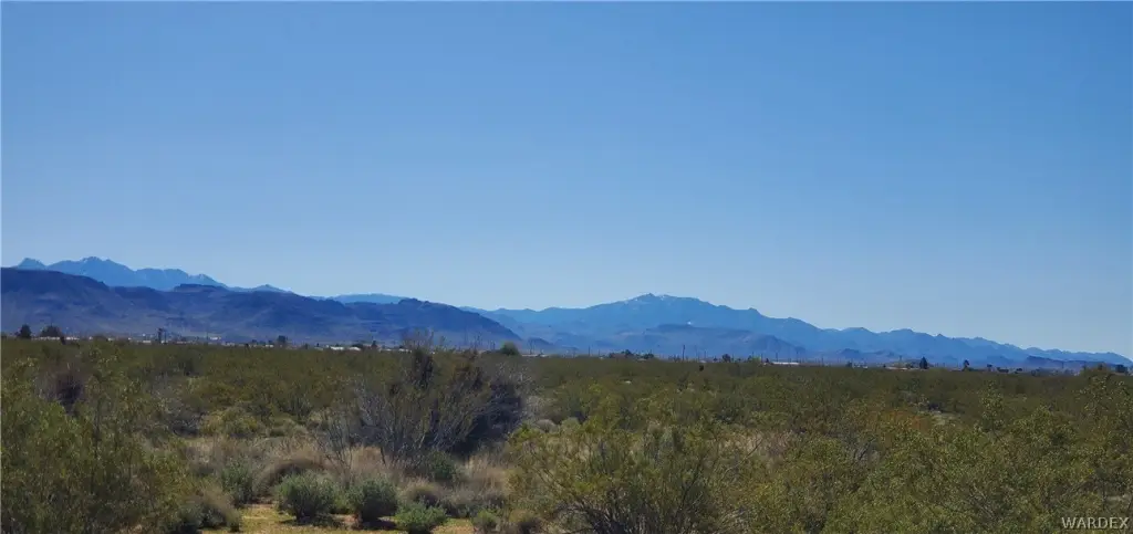 Picture 21
