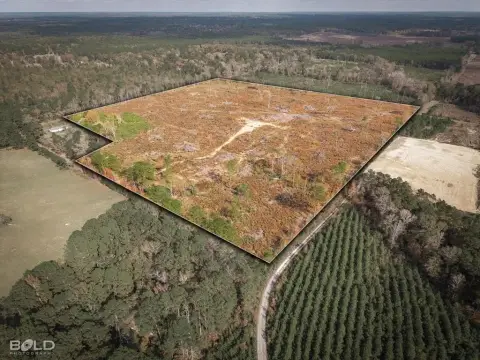 38 Acres Ready For Vision