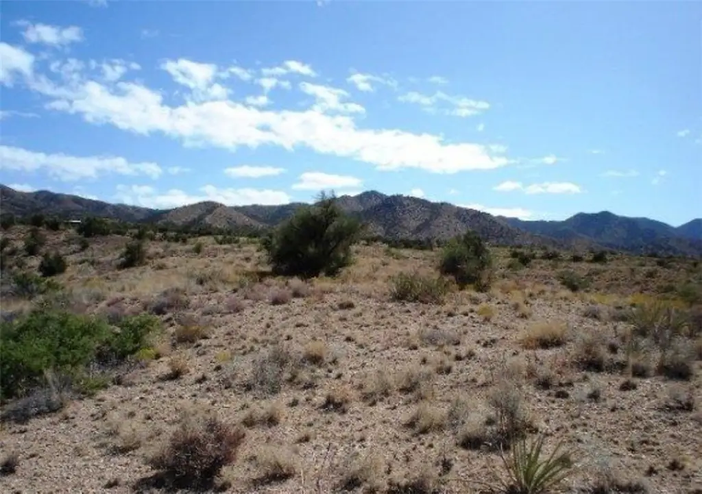 Picture 6
