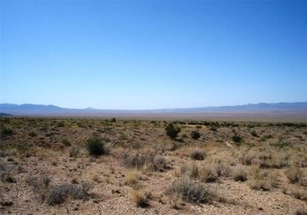 Picture 8