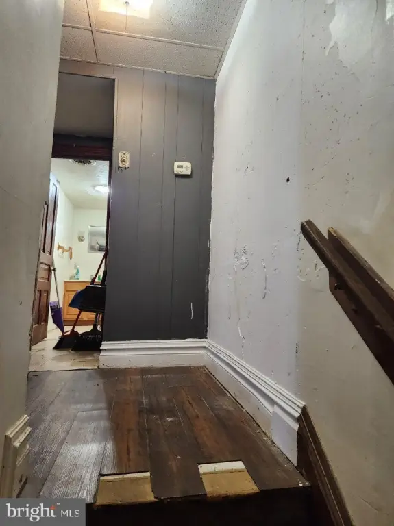 Picture 16