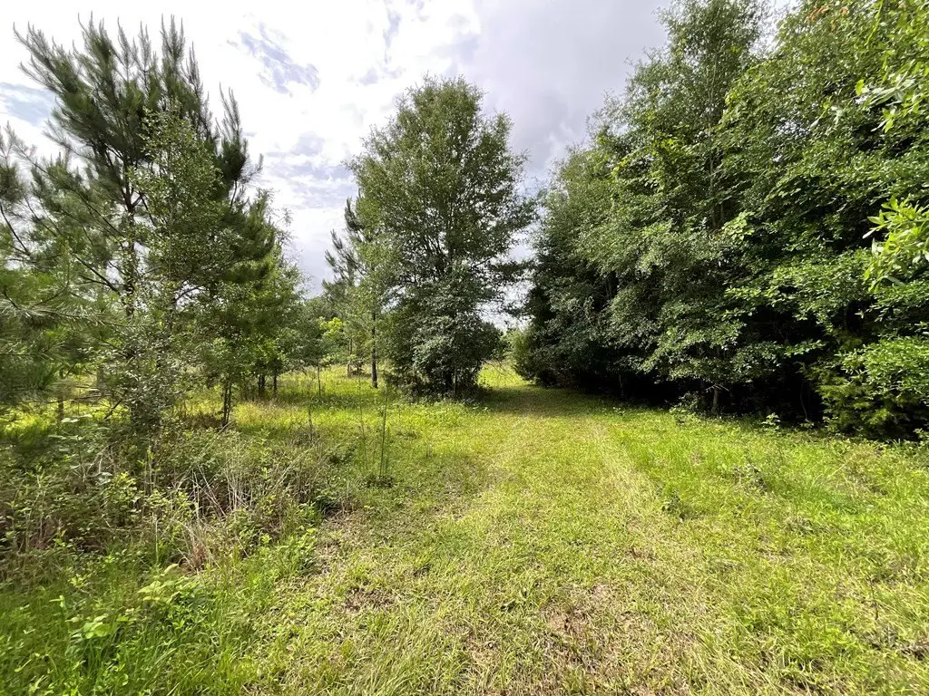 Picture 25