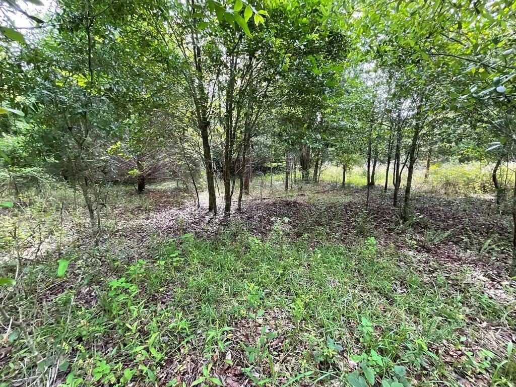 Picture 16