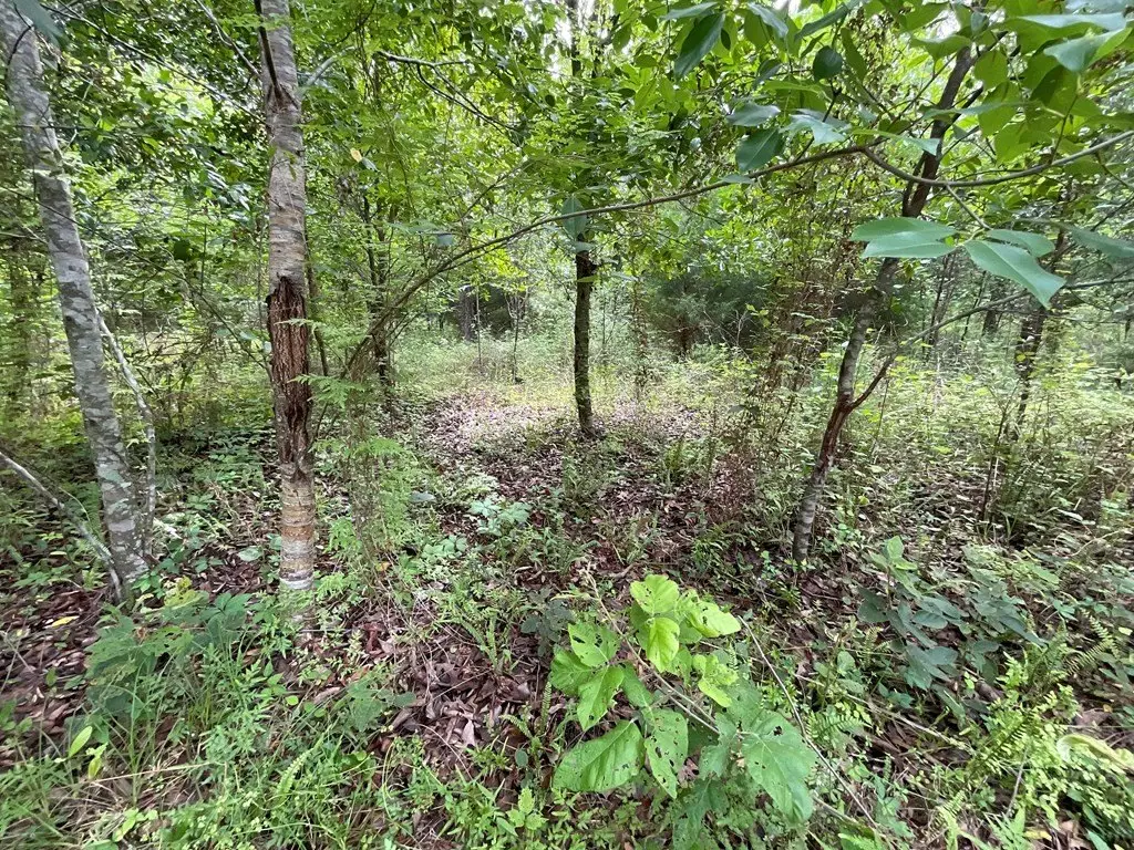 Picture 27