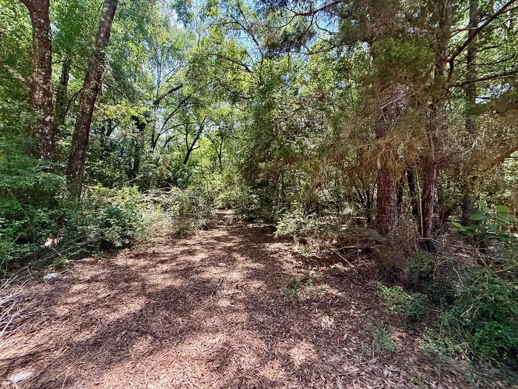 Picture 18