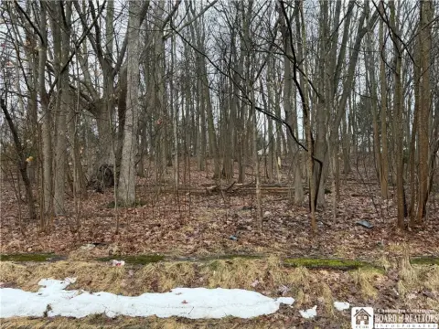 Land For Sale Jamestown, NY